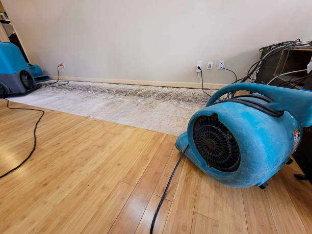 Professional Emergency Water Damage technician working in Ringwood, IL